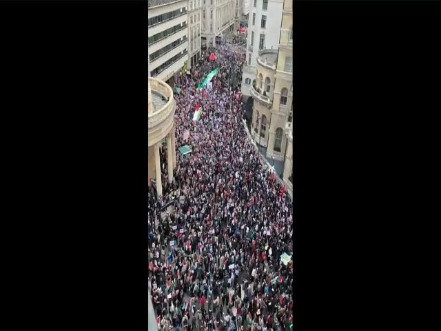 REVOLTA NO MUNDO: Multido faz ato pela liberdade do povo palestino em Londres