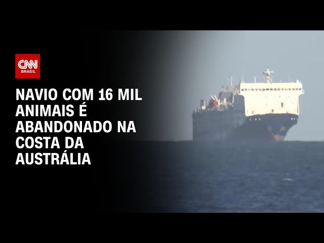 Navio com 16 mil animais  abandonado na costa da Austrlia aps ameaa de ataque Houthi