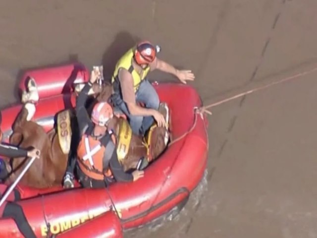 VDEO: o emocionante resgate do cavalo Caramelo, que ficou ilhado em Canoas