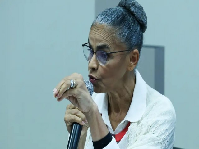 Mais destruio de floresta  mais desarranjo climtico, diz Marina Silva