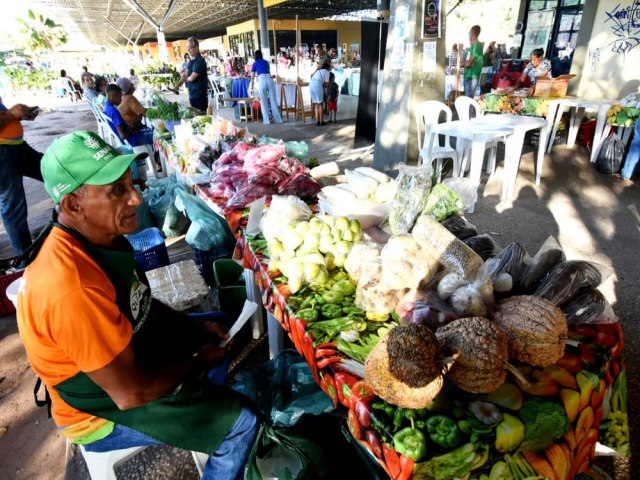 Em Teresina, delegaes do G20 visitaro horta comunitria e Quitanda da Agricultura Familiar nesta sexta (24)