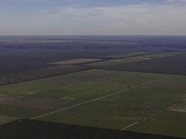 Em meio  expanso do desmatamento, Piau debate nova lei ambiental