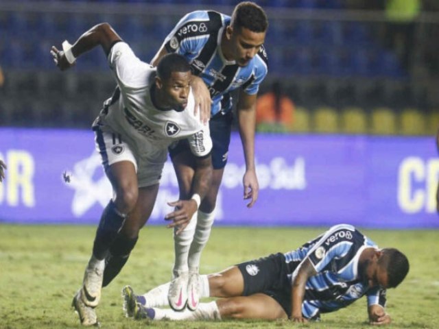 Botafogo vence o Grmio e assume a liderana do Brasileiro: 2 x 1