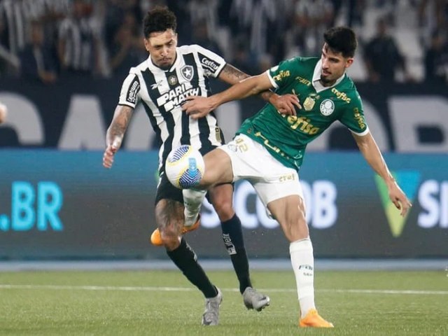 Em jogo eletrizante, Botafogo bate Palmeiras por 1 x 0 e se isola na liderana