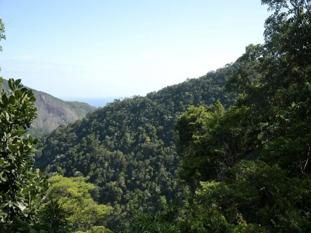 Propostas para o Plano Clima sero debatidas nos biomas brasileiros