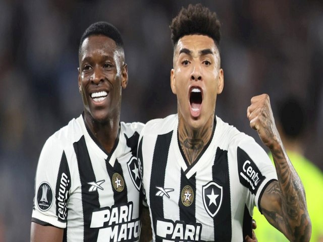 Em festa espetacular da torcida, Botafogo vence Palmeiras pela Libertadores