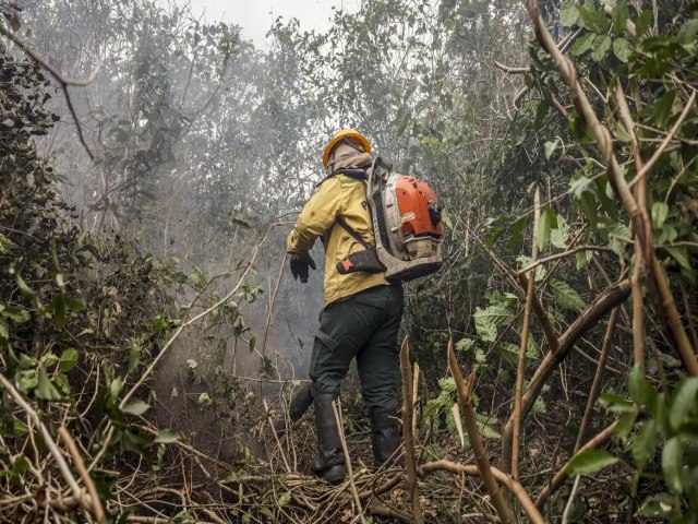 Dino manda governo ampliar combate ao fogo na Amaznia e no Pantanal