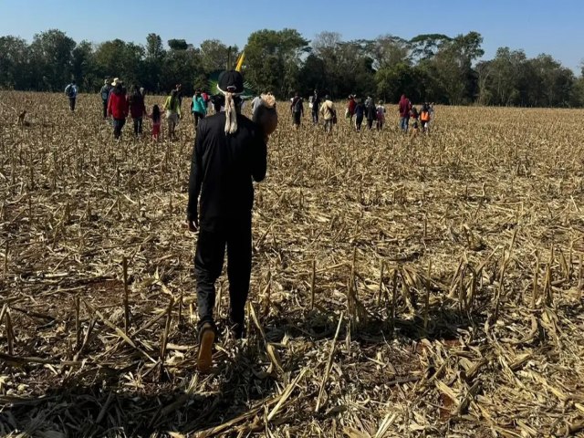 Fazendeiros armados perseguem e ferem indgenas av-guarani; dois em estado grave