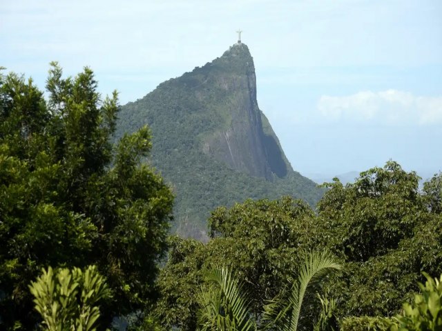 CRIME CONTRA O BRASIL: Parques do RJ so fechados  visitao por causa de incndios