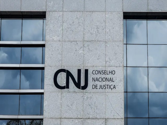 CNJ autoriza repasse de recursos do Judicirio para combate s queimadas