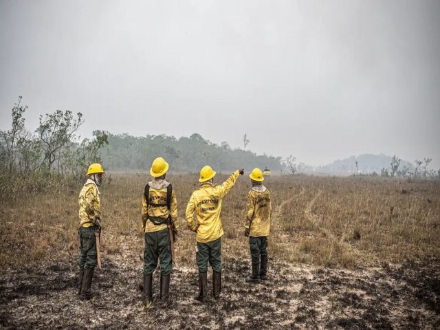 Incndios podem ter afetado mais de 11 milhes de pessoas no Brasil