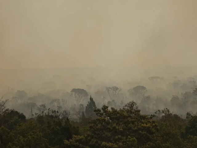 Registro de queimadas em setembro  30% maior que a mdia do ms