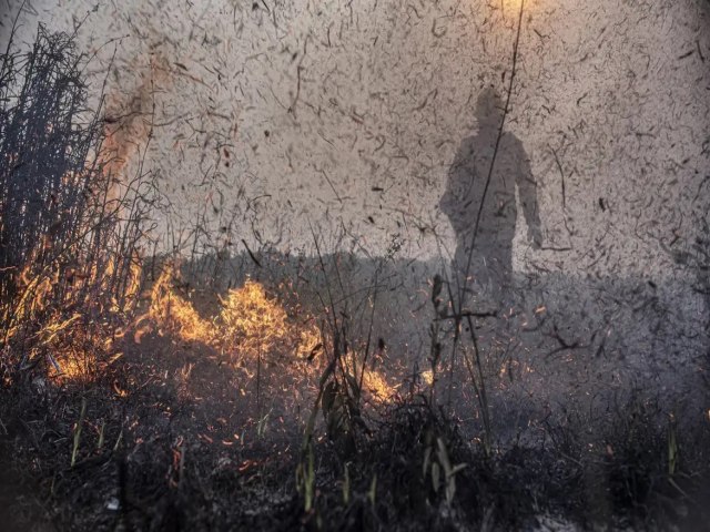 Focos de incndios no Brasil j so 76% maior que em 2023, informam dados do Inpe