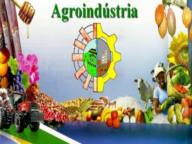 PROJETO SOCIAL MASTER PLANO DE MANEJO AGROINDUSTRIAL P M G DE ITAPURANGA PARA O BRASIL