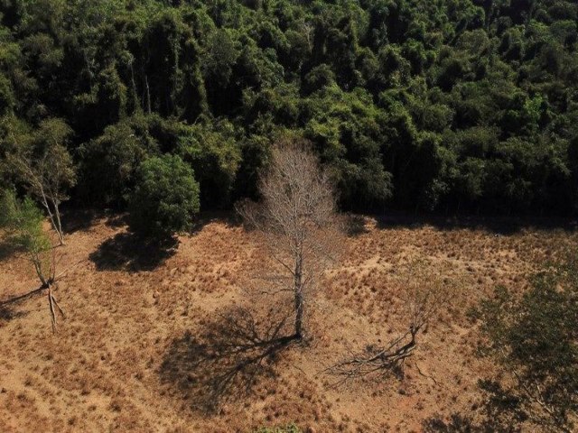 Estudo aponta relao entre reduo da pobreza e do desmatamento