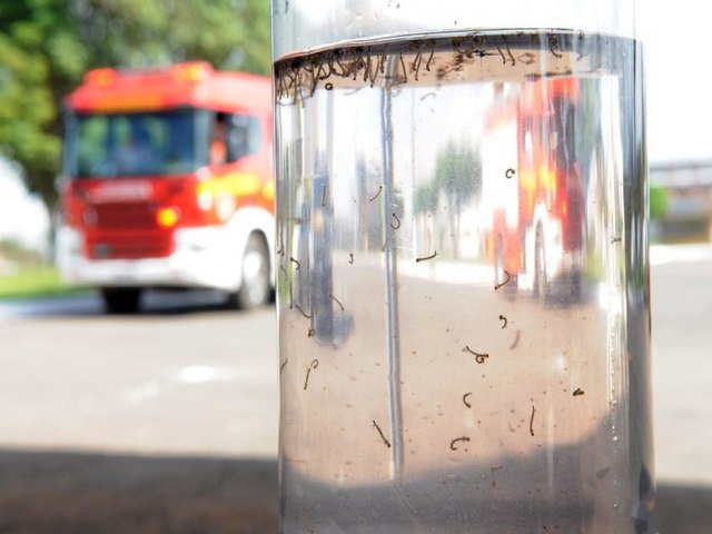 DENGUE: DF REGISTRA QUASE 4 MIL CASOS PROVVEIS EM FEVEREIRO.