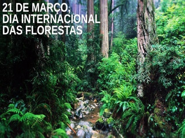 21 de maro - Dia Internacional das Florestas