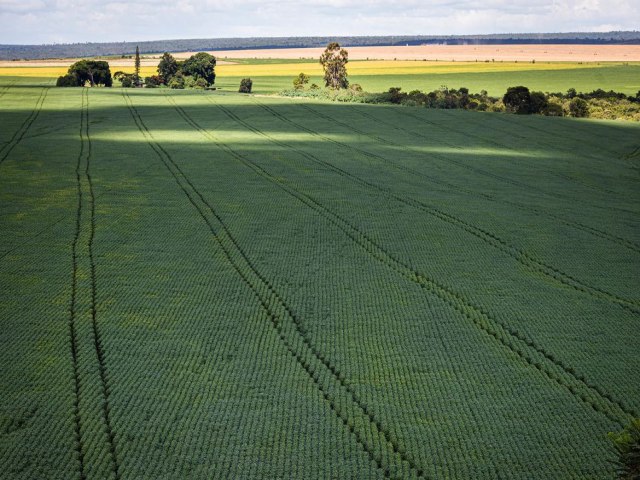 Estudo aponta desafios do seguro rural em meio a mudanas climticas