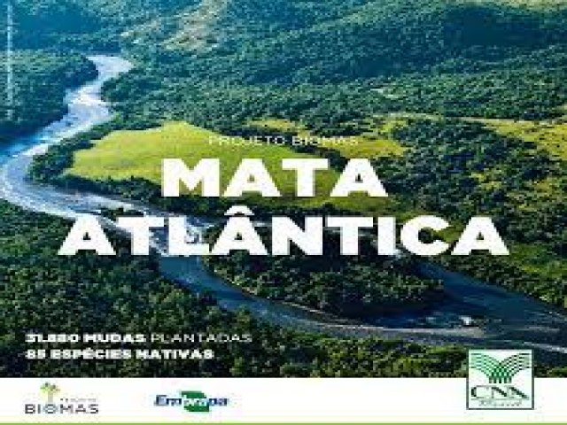 No dia 27 de maio comemora-se o Dia Nacional da Mata Atlntica.