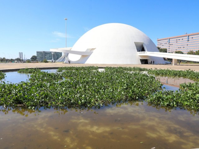 Museu Nacional promove exposio de jardim flutuante nos espelhos dgua