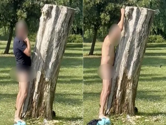 Homem  preso ao ser flagrado fazendo 'sexo' com rvore em parque, na Inglaterra