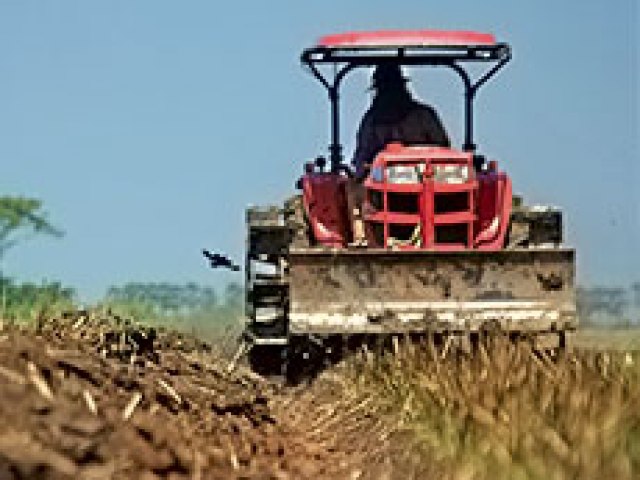 O solo e a gua so os elementos mais importantes do setor agropecurio