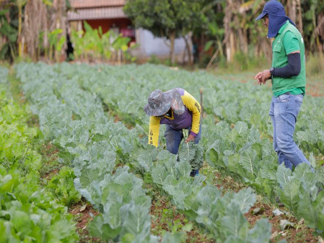 Plano de agroecologia e produo orgnica incentiva sustentabilidade rural