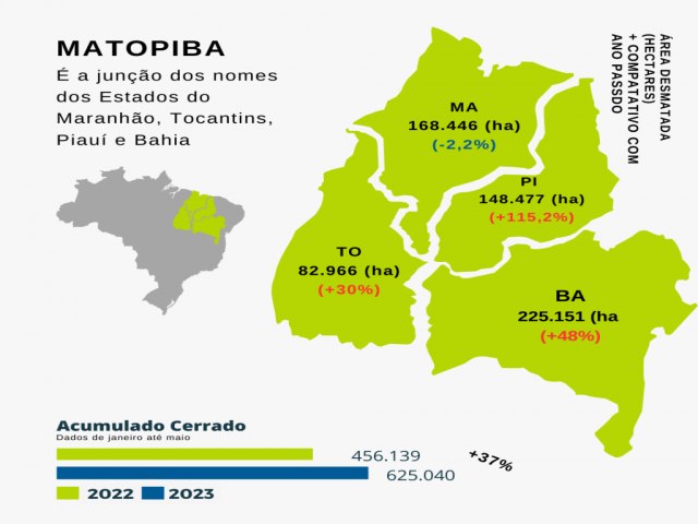 Desmatamento na Matopiba aumentou 37% em 2022