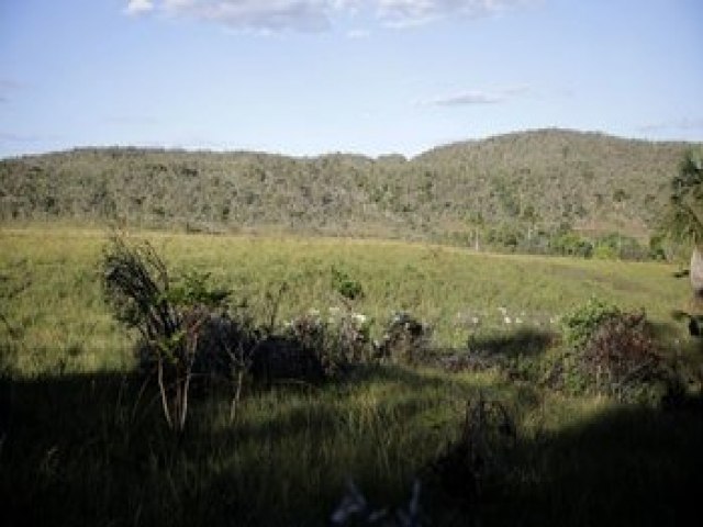 Brasil perde 15% de florestas naturais em quase 40 anos, mostra levantamento do MapBiomas