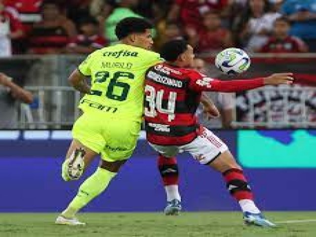 Brasileiro: Flamengo derrota Palmeiras e mantm vivo sonho por ttulo