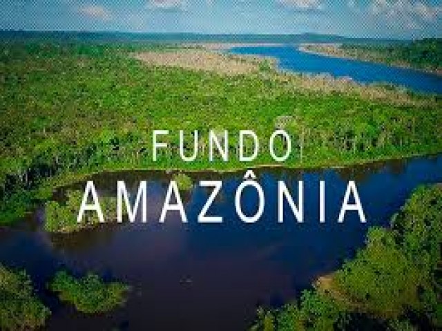 Fundo Amaznia - Apoio ao Meio Ambiente