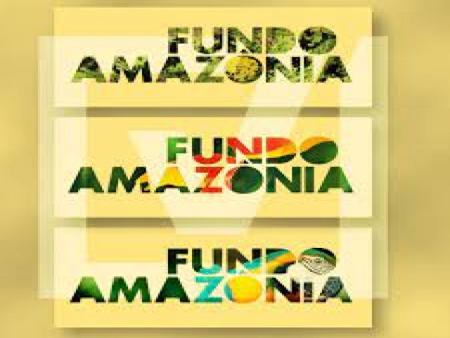 Saiba o que  e como funciona o Fundo Amaznia, alvo de desinformao nas redes