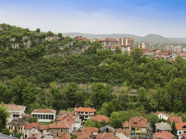 Floresta urbana e gesto de cidades