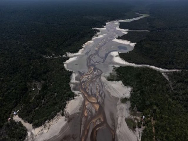 Mudanas climticas foram 'principal' fator para seca recorde na Amaznia, diz estudo: o que isso significa para o futuro da floresta?