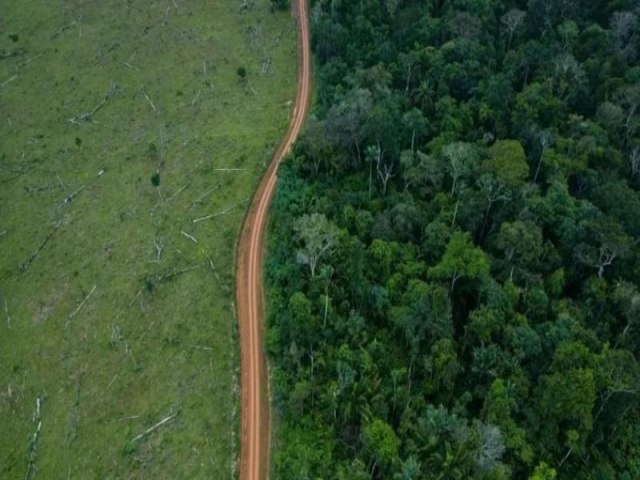 Por que Brasil e Colmbia lideraram 'reduo drstica' em desmatamento em 2023