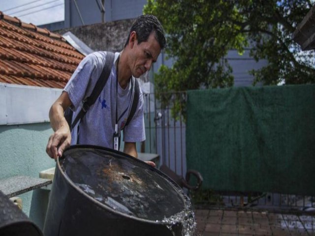 Epidemia de dengue tambm est levando a aumento dos casos de zika e chikungunya?