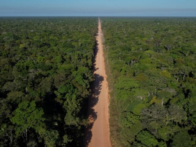 Transparncia em contratos da BR-319  baixa, diz estudo de ONG