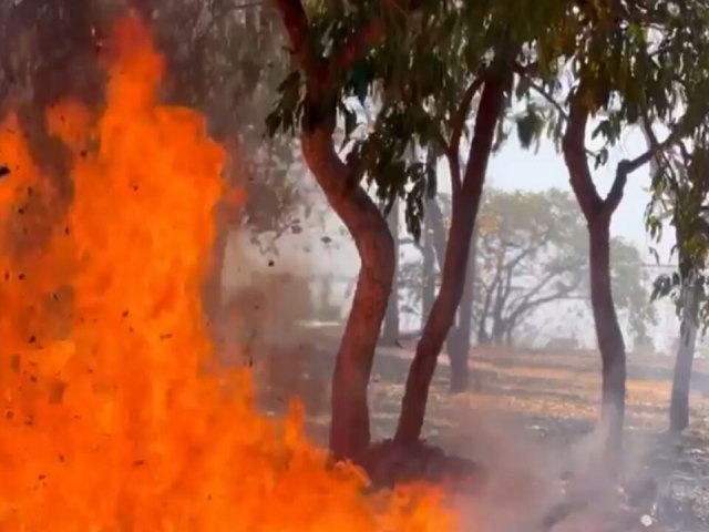 Bombeiros combatem incndio perto do Pao de Goinia