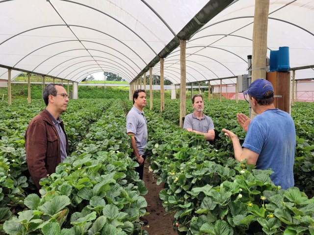 Projeto de pesquisa vai testar tecnologia para reduzir perda de gua na irrigao