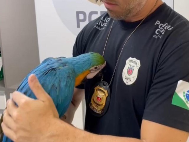 PCPR prende homem acusado por trfico de animais silvestres e resgata arara