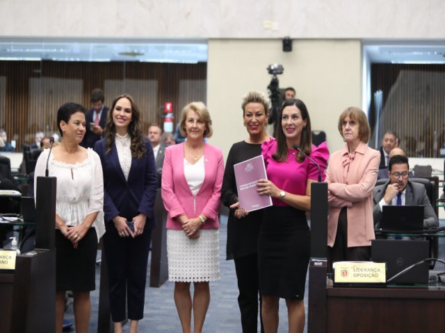 Cdigo da Mulher Paranaense  aprovado na Assembleia Legislativa