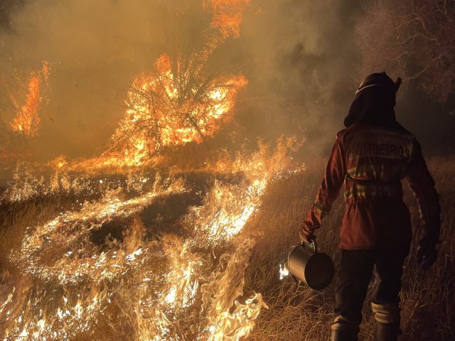 Retorno da segunda equipe de bombeiros militares encerra misso paranaense no Pantanal