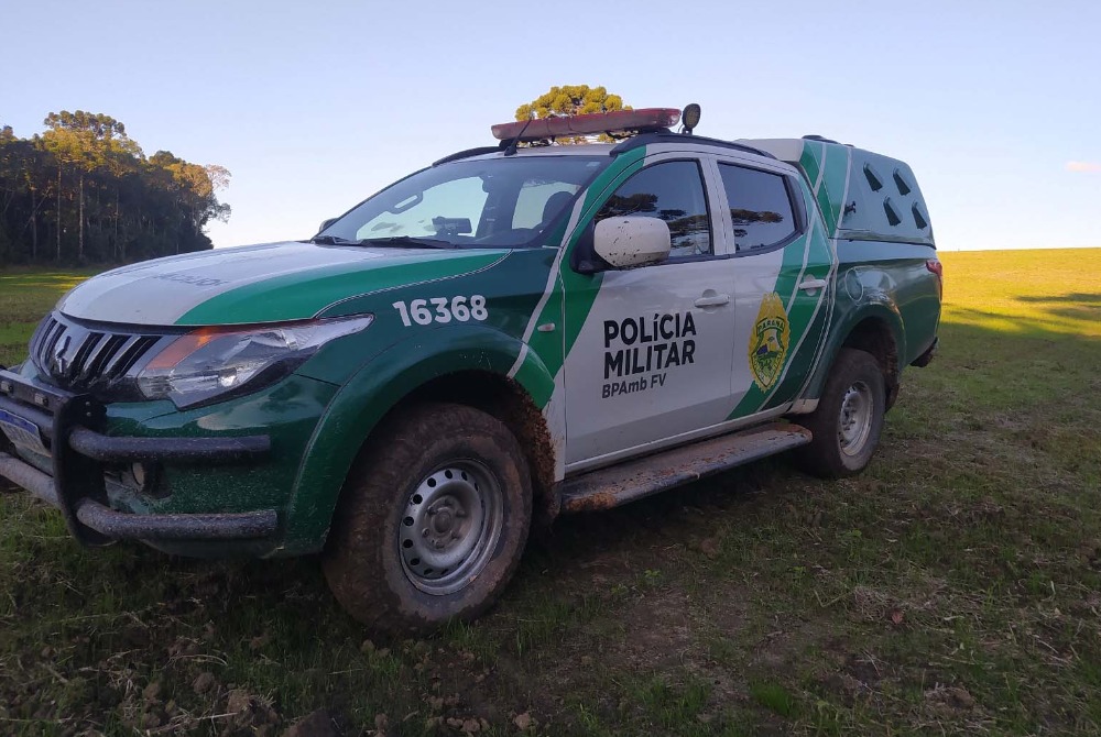 Pol�cia Militar utiliza imagens de sat�lite e identifica desmatamento ilegal na Lapa