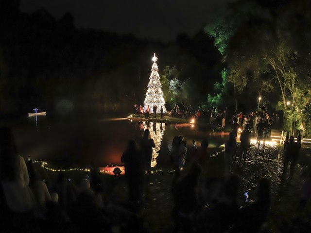 Primeiro fim de semana do Natal de Curitiba 2024 tem Floresta Encantada Electrolux e O Expresso de Natal da Famlia Madalosso