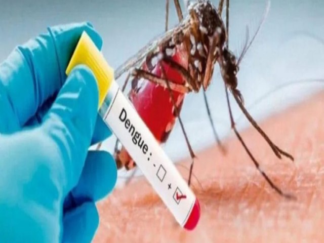 Brasil bateu recorde e se aproxima de 4 milhes de casos suspeitos de dengue em 2024