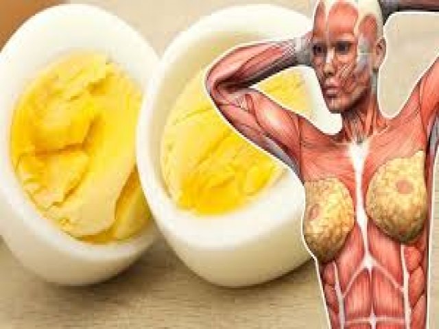 Ovos: saiba o que acontece com o corpo se comer a proteína diariamente Ovos: saiba o que acontece com o corpo se comer a proteína diariamente