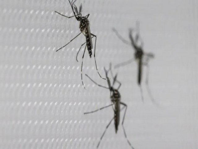 SUS suspende uso de vacina da dengue do Butantan ap�s rea��es adversas