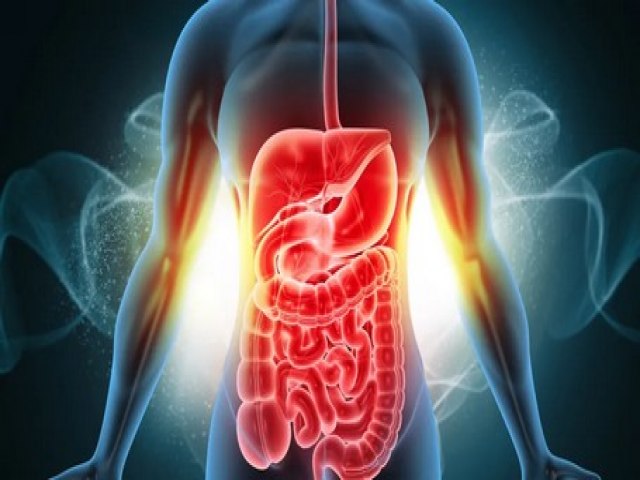 Arroz ou macarr�o? M�dicos revelam qual � melhor para o intestino