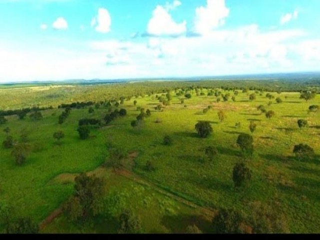 CLASSIFICADOS NACIONAL  RIR BRASIL; FAZENDA  A VENDA  UMA GRANDE OPORTUNIDADE 