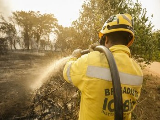 Mais de 17,3 milhes de hectares foram queimados em 2023 no pas; Cerrado foi 3 mais afetado